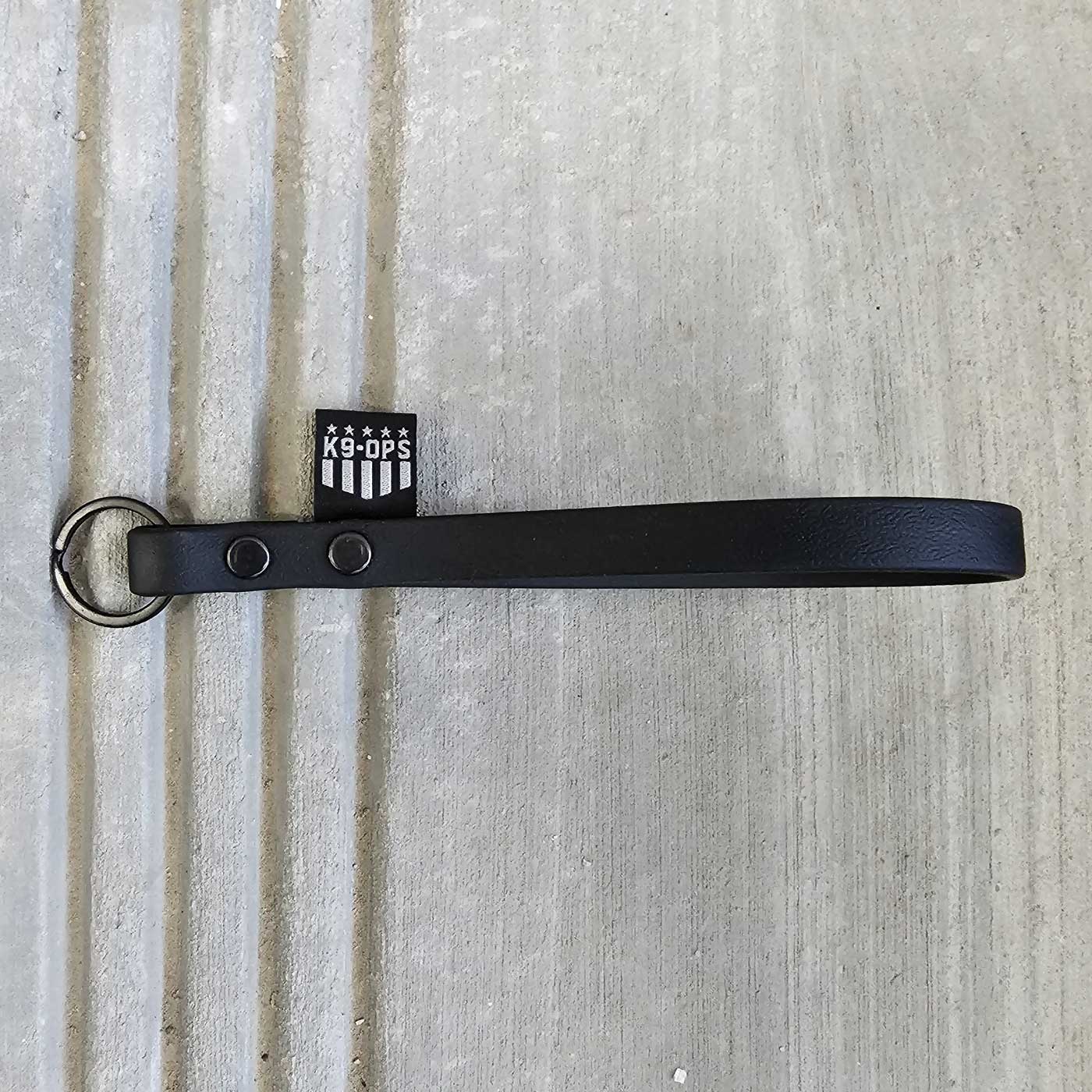 Biothane Keychain