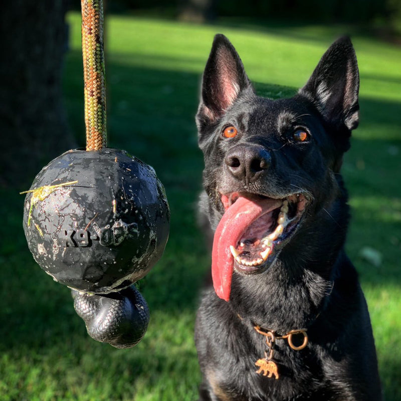 black dog ball with a rope k9ops durable strong fetch toys indestructible toys in a k9opsbox