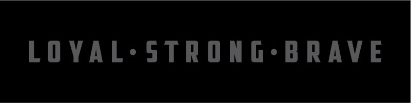 k9ops k9 ops best durable indestructibledog toys ball tugs leashes