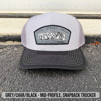 Pack Banner Patch Hats