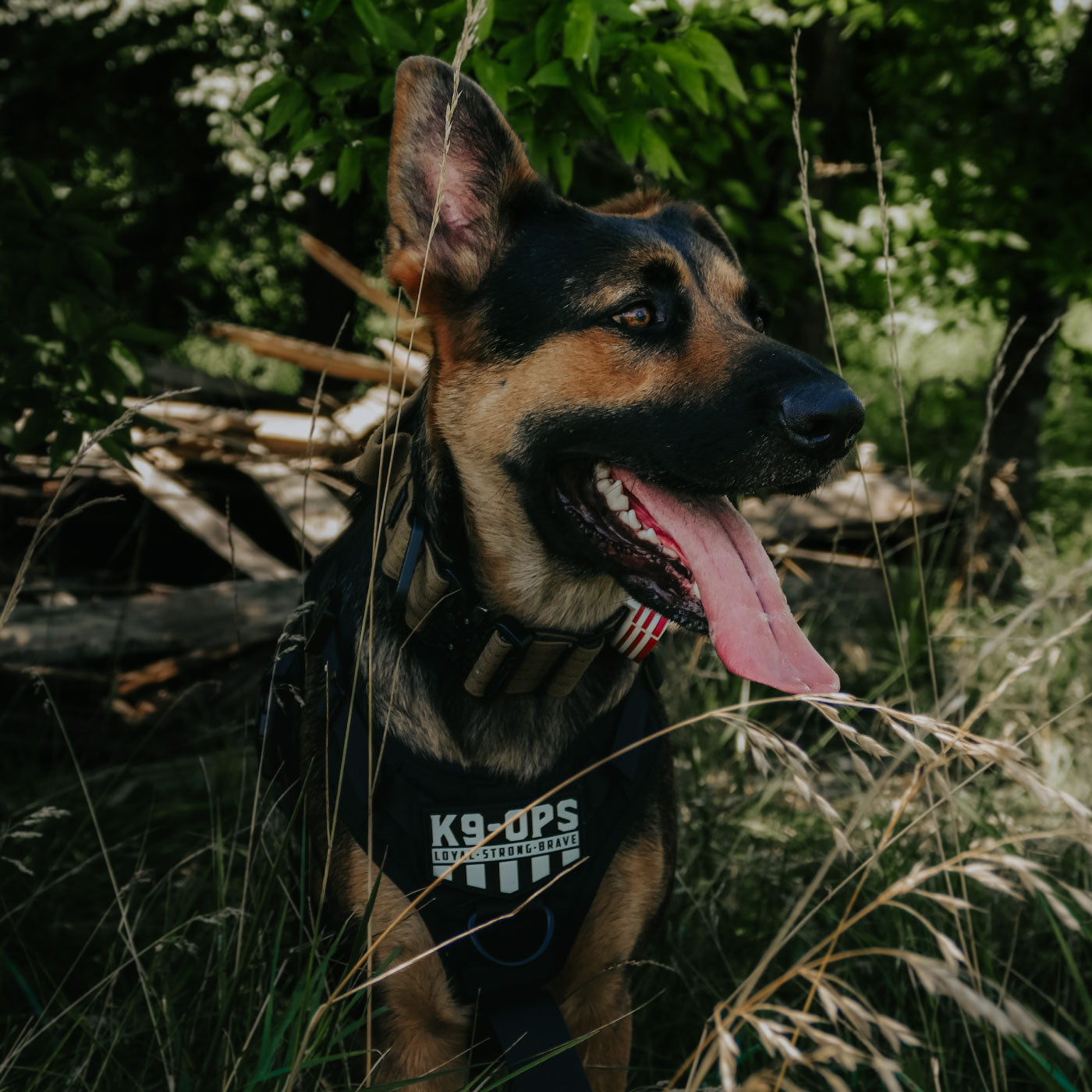 K9-Ops Velcro Patch - Grab n Go