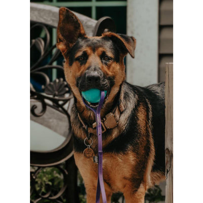 Bio Tug - Lagoon Blue