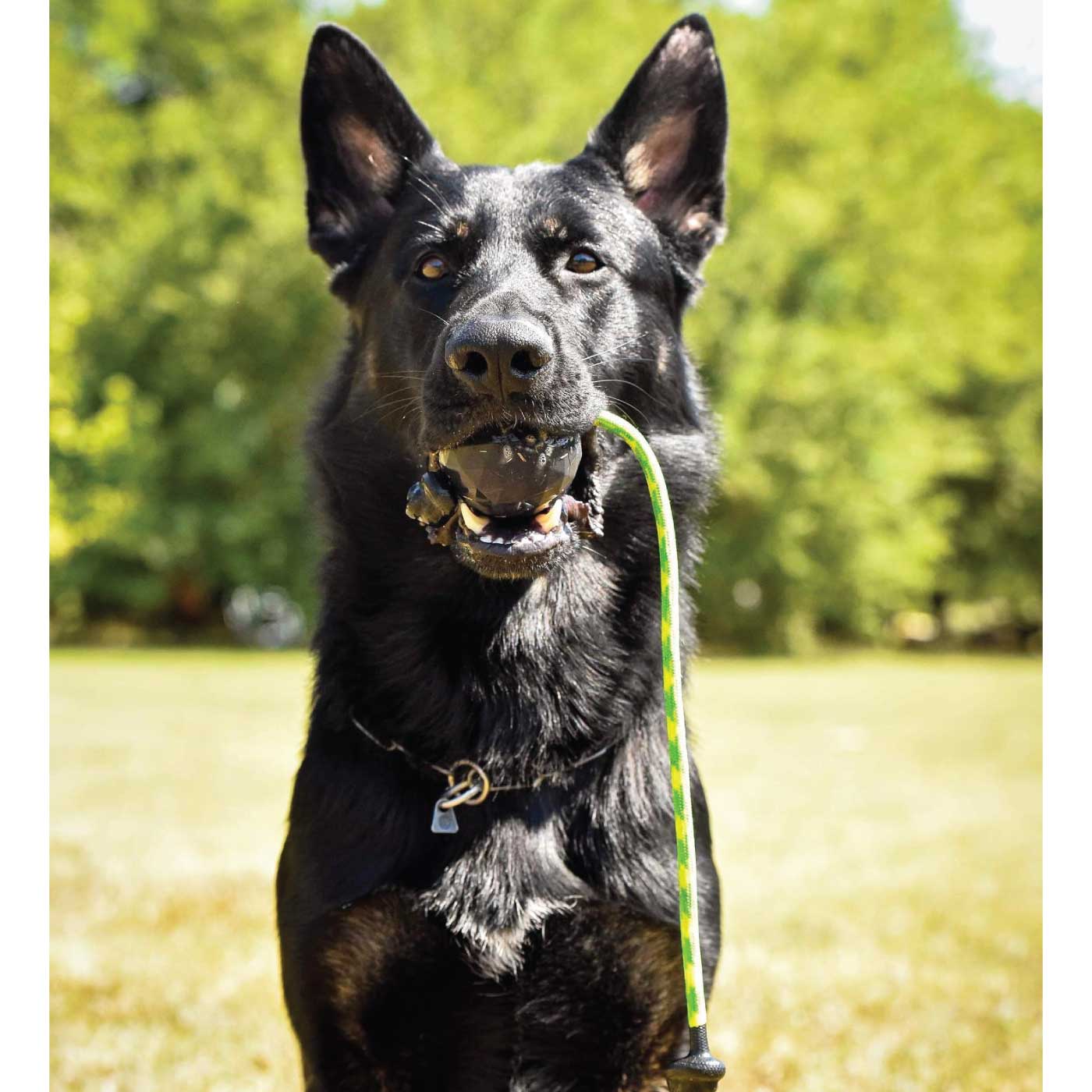 durable dog fetch toys with a rope strong rubber ball in a k9opsbox indestructible chew toy