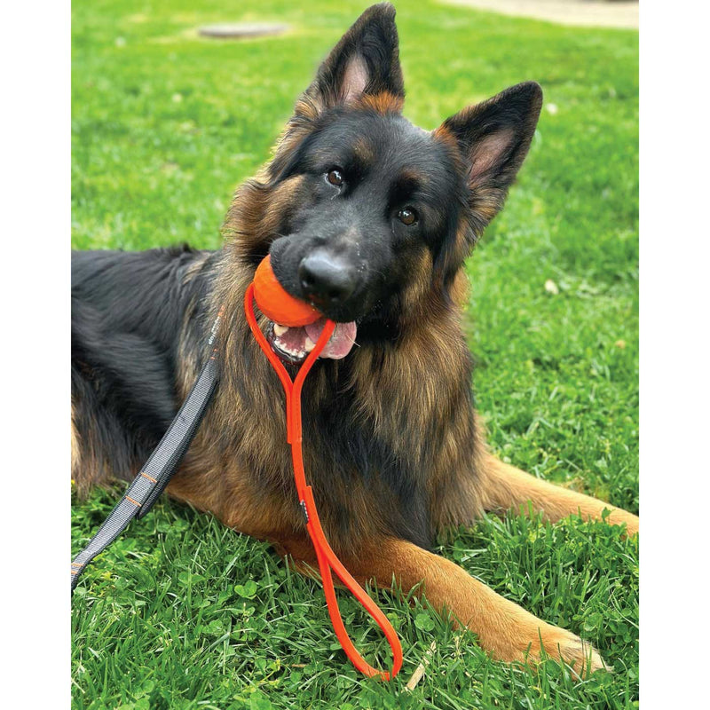 orange dog ball indestructible toy k9 ops k9ops