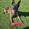 real firehose dog tug red strong k9ops training k9 opsbox