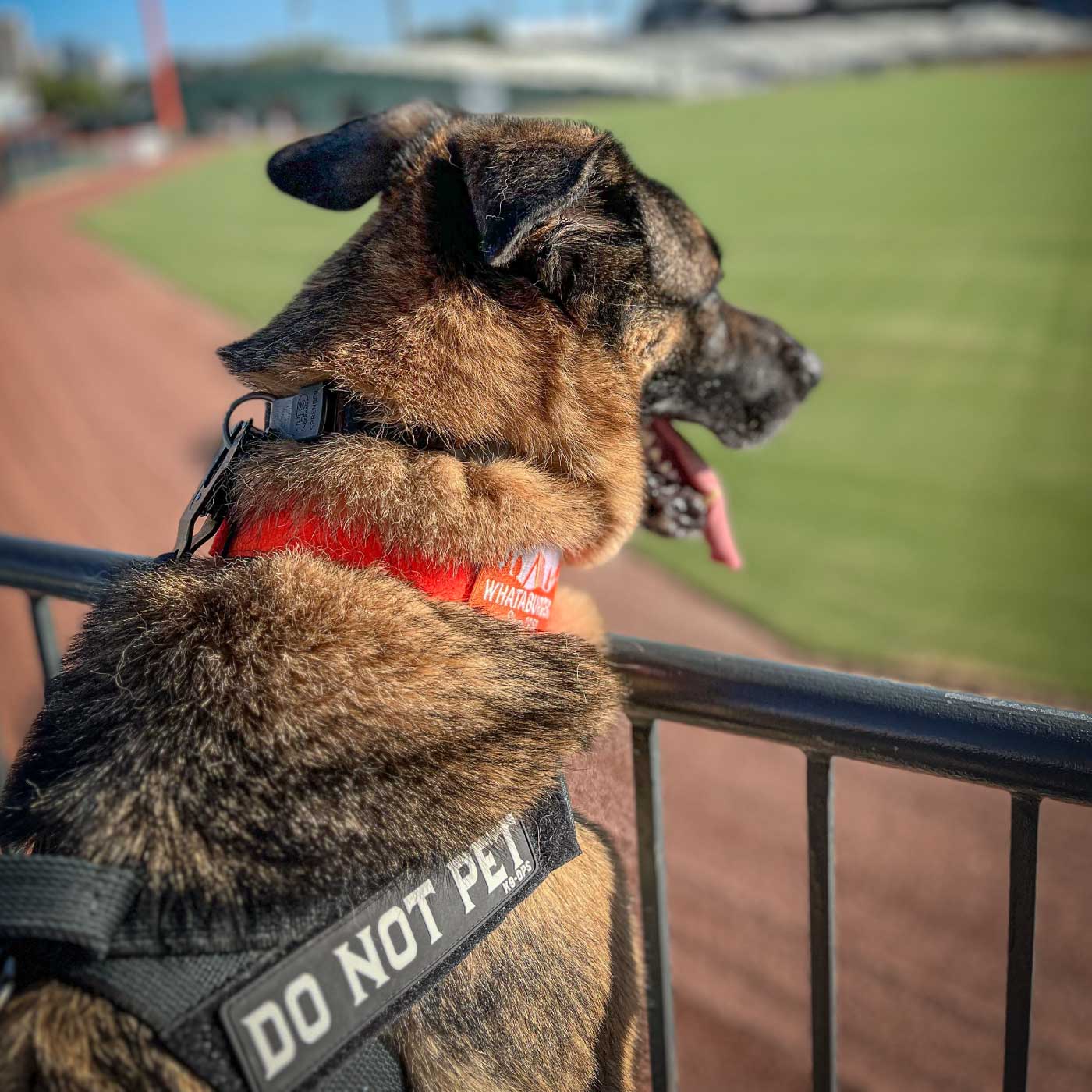 Do Not Pet - Rubber/PVC Velcro Patch