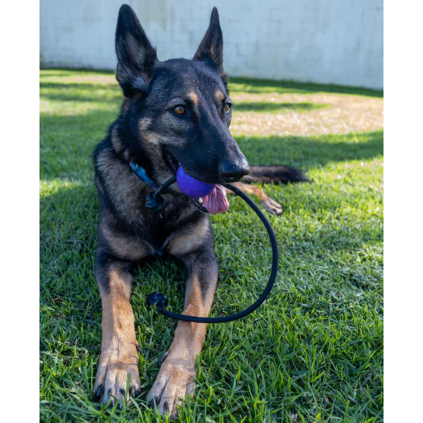 Moki Rope Tug - Coal Black