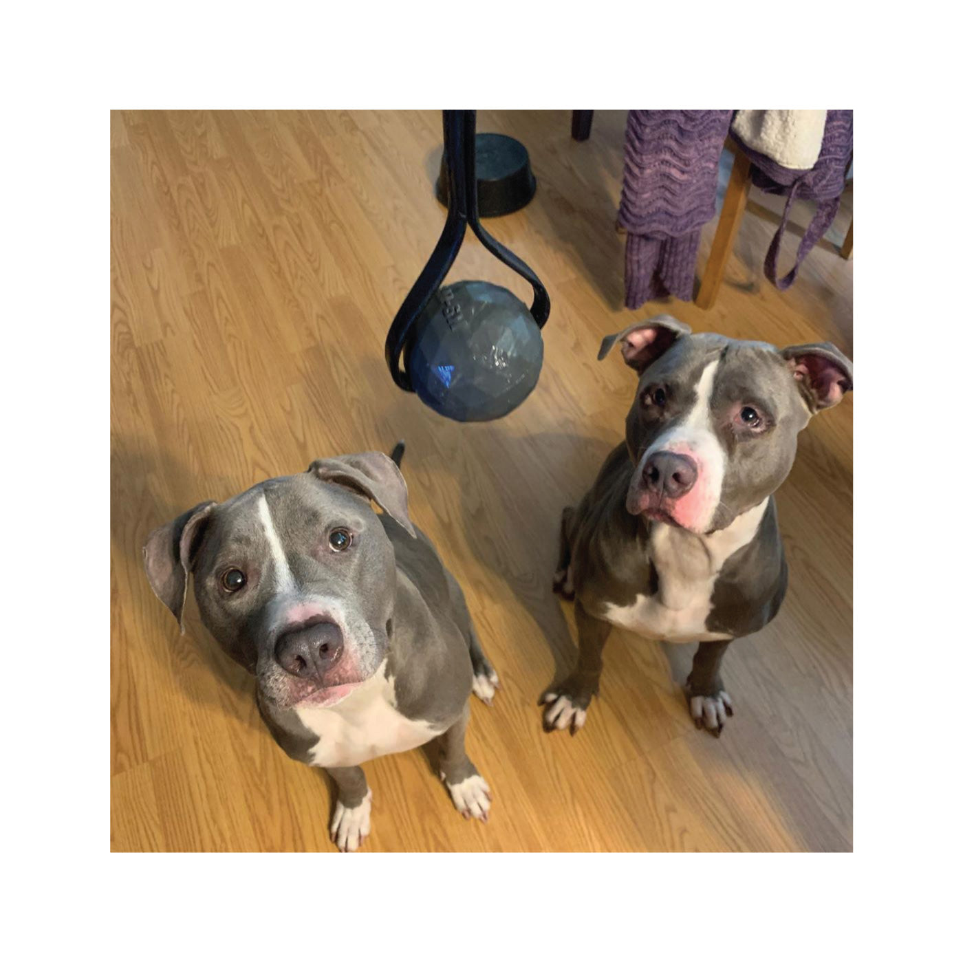 Bio Tug - Coal Black