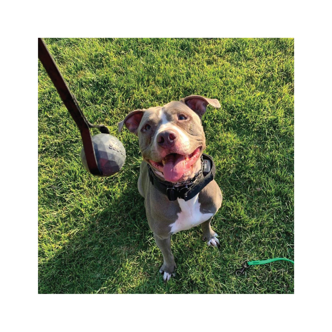 Bio Tug - Coal Black