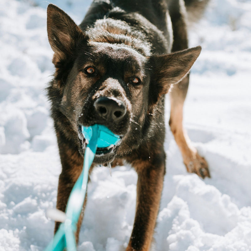 indestructible dog ball toy blue tug k9ops k9 ops