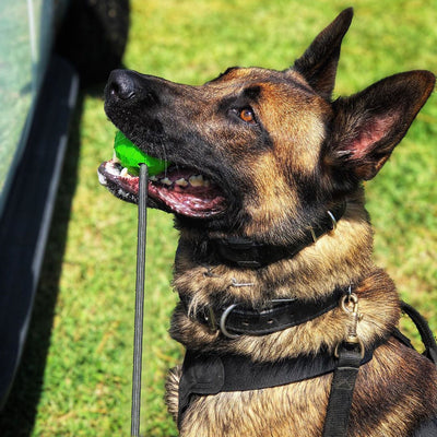 Moki Rope Tug - Envy Green