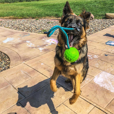 Moki Rope Tug - Envy Green