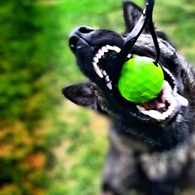 green durable dog toy indestructible tug k9ops