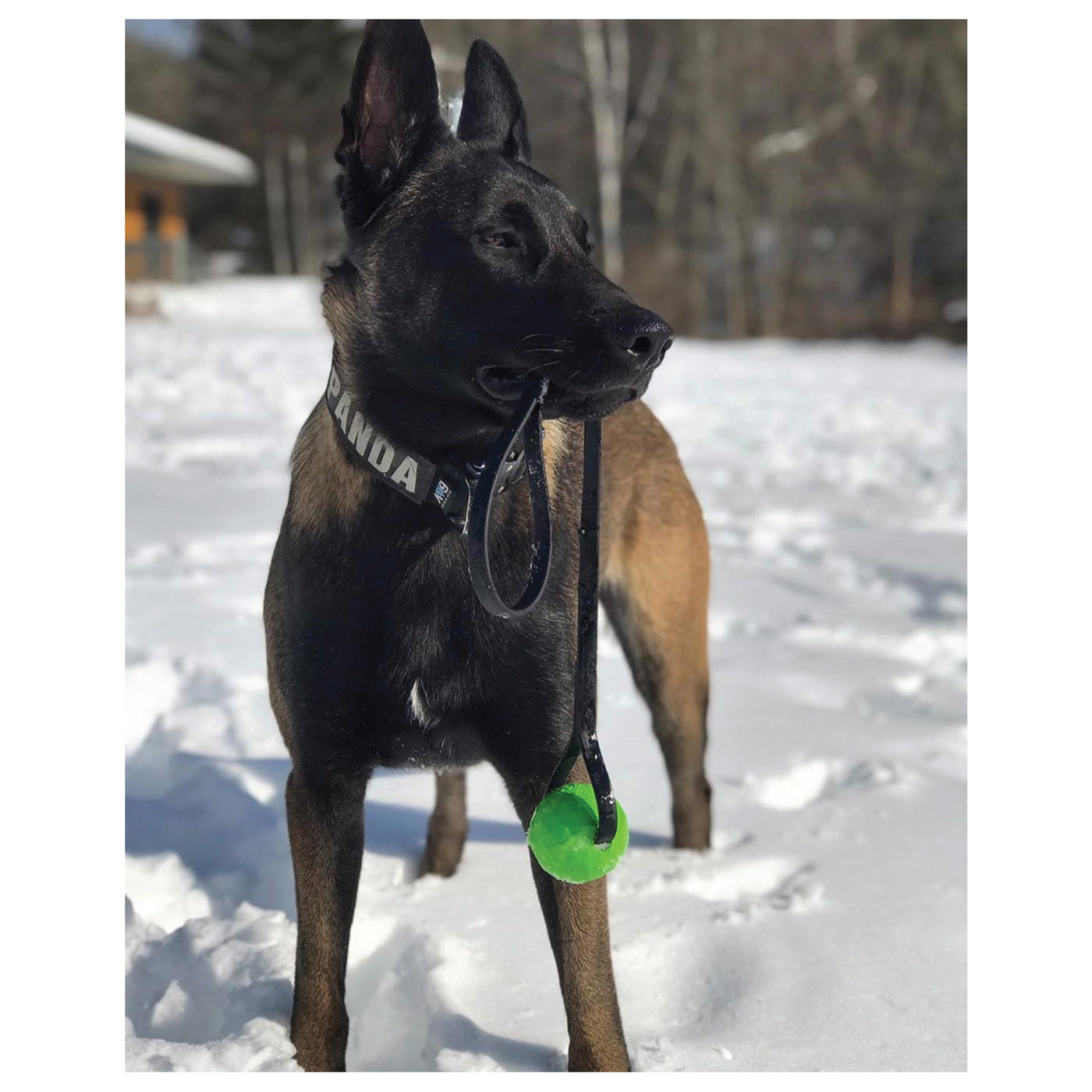 dog ball with handle biothane indestructible toys for aggressive dogs biothane k9ops k9 ops