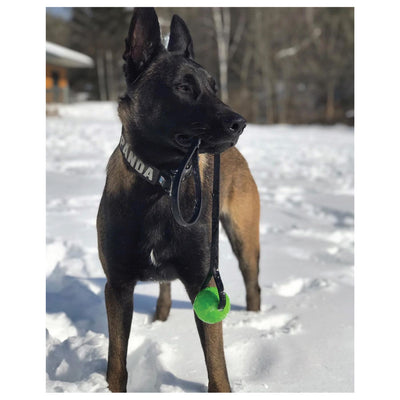 dog ball with handle biothane indestructible toys for aggressive dogs biothane k9ops k9 ops