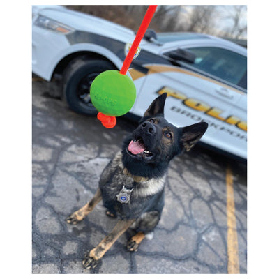 Moki Rope Tug - Envy Green