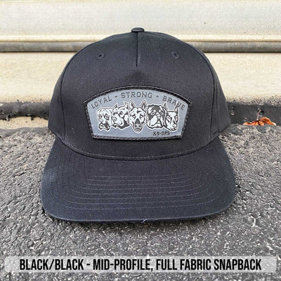 Pack Banner Patch Hats