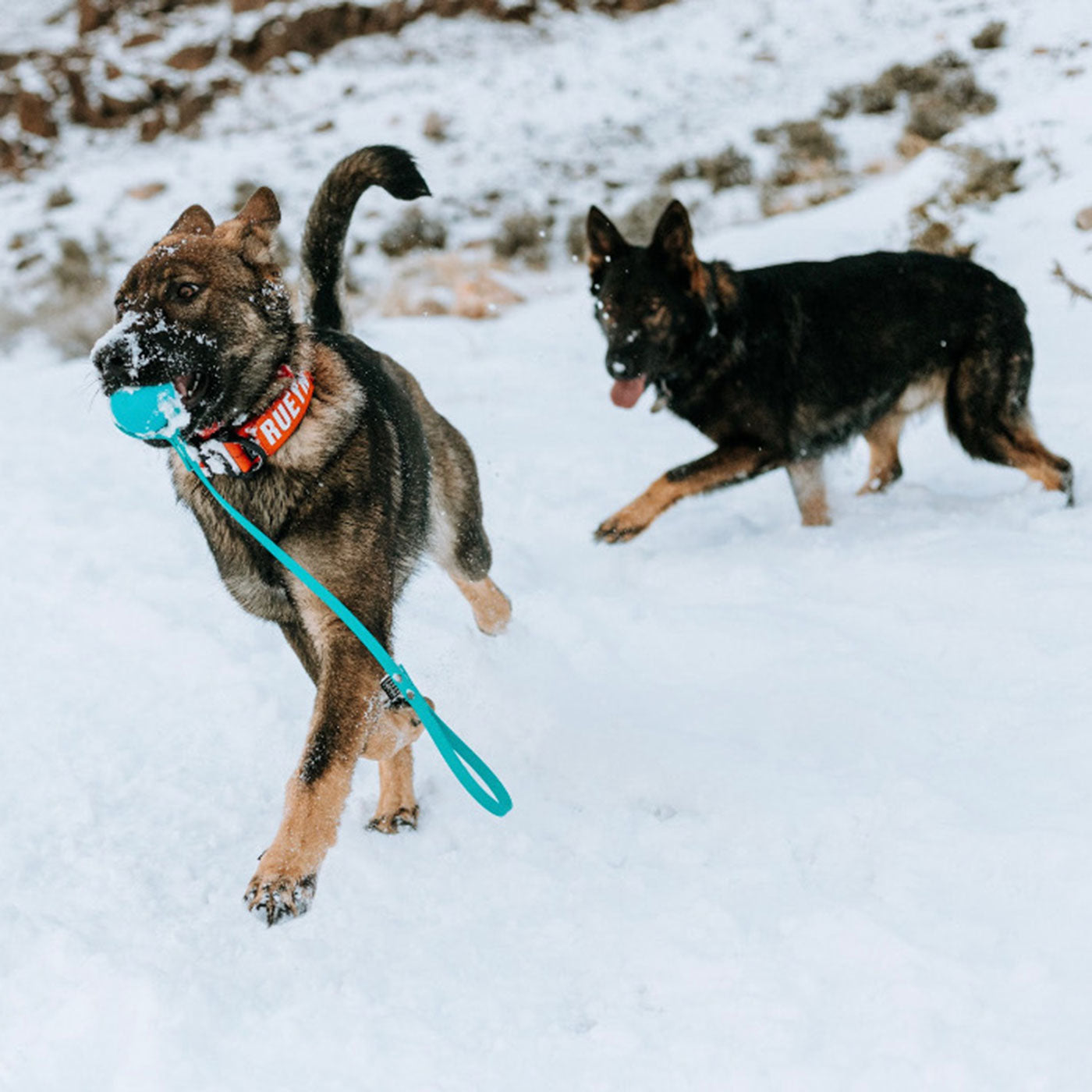 Bio Tug - Lagoon Blue