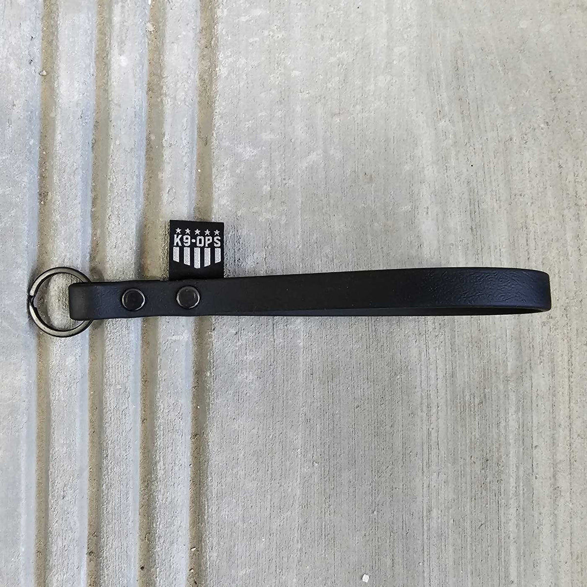 Biothane Keychain