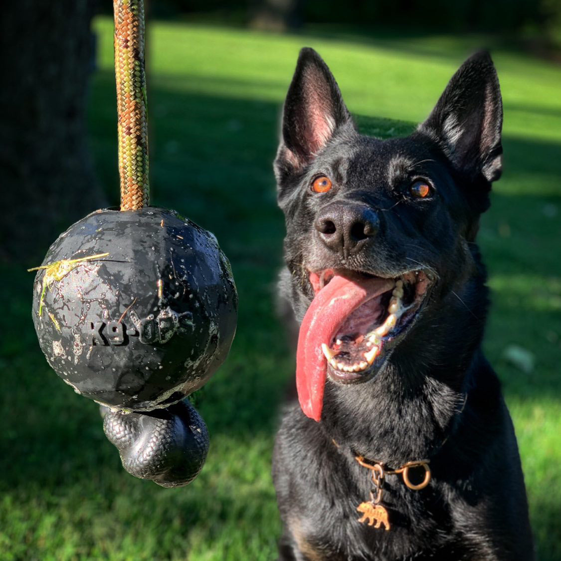 Moki Rope Tug - Coal Black