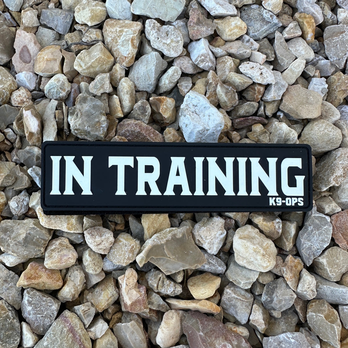 In Training - Rubber/PVC Velcro Patch