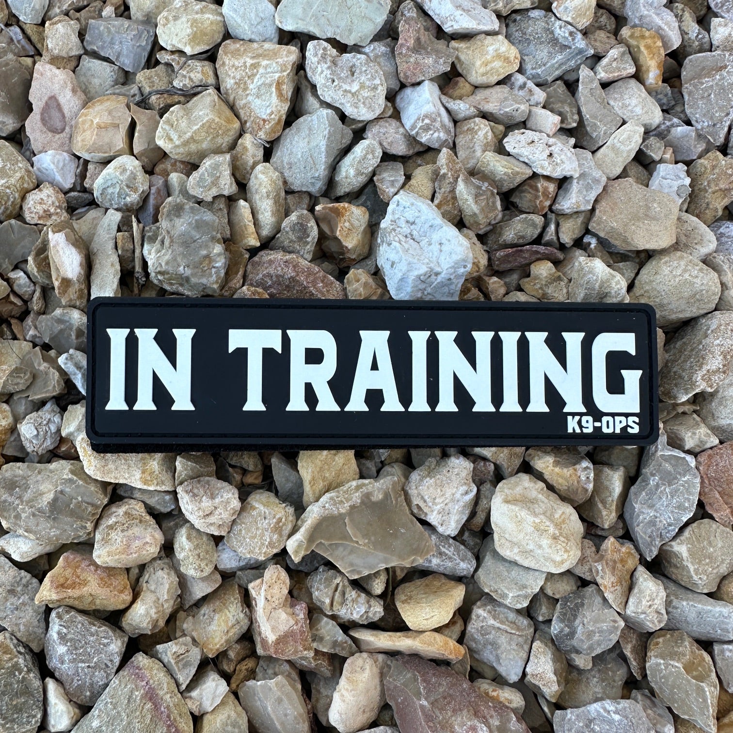In Training - Rubber/PVC Velcro Patch