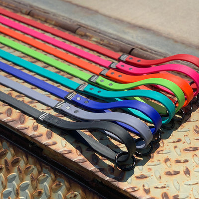 SALE - READY TO SHIP - 3/4" Pro-Tech BioThane Leash