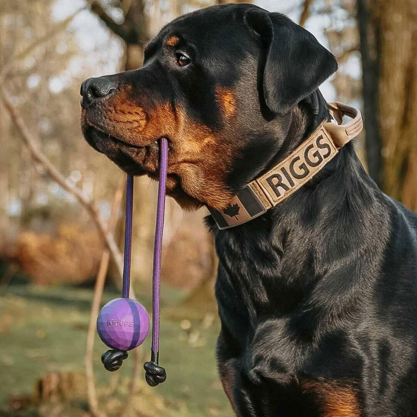 indestructible dog toy ball tug leash k9 ops k9ops