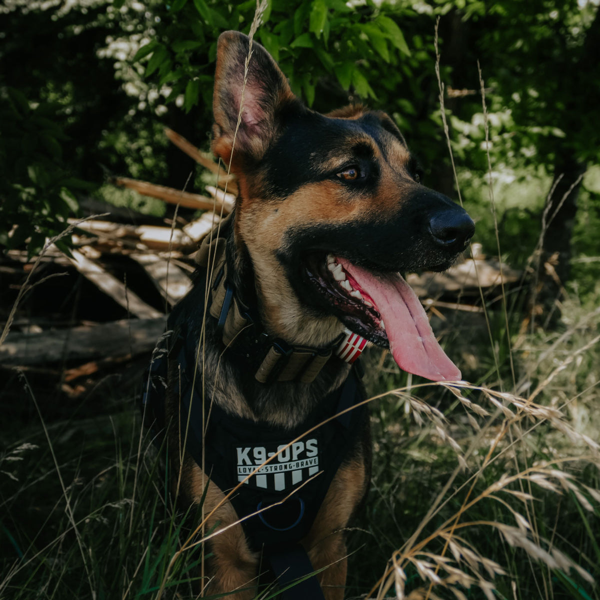 K9-Ops Icon Logo - Rubber/PVC Velcro Patch