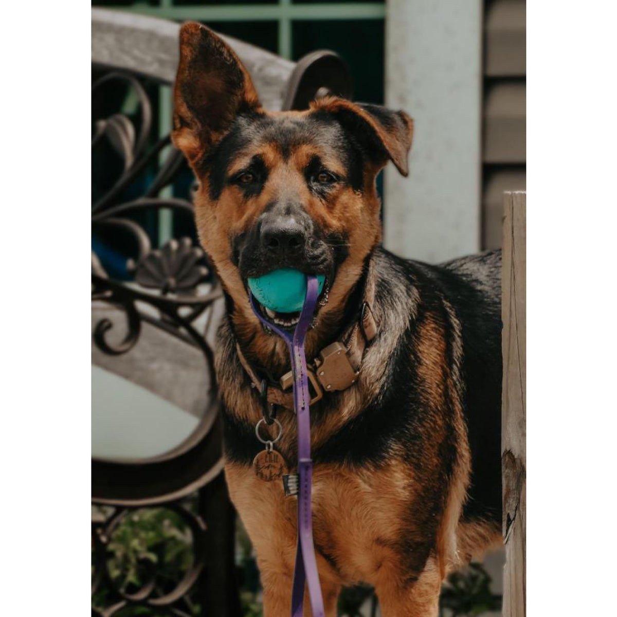 Bio Tug - Lagoon Blue