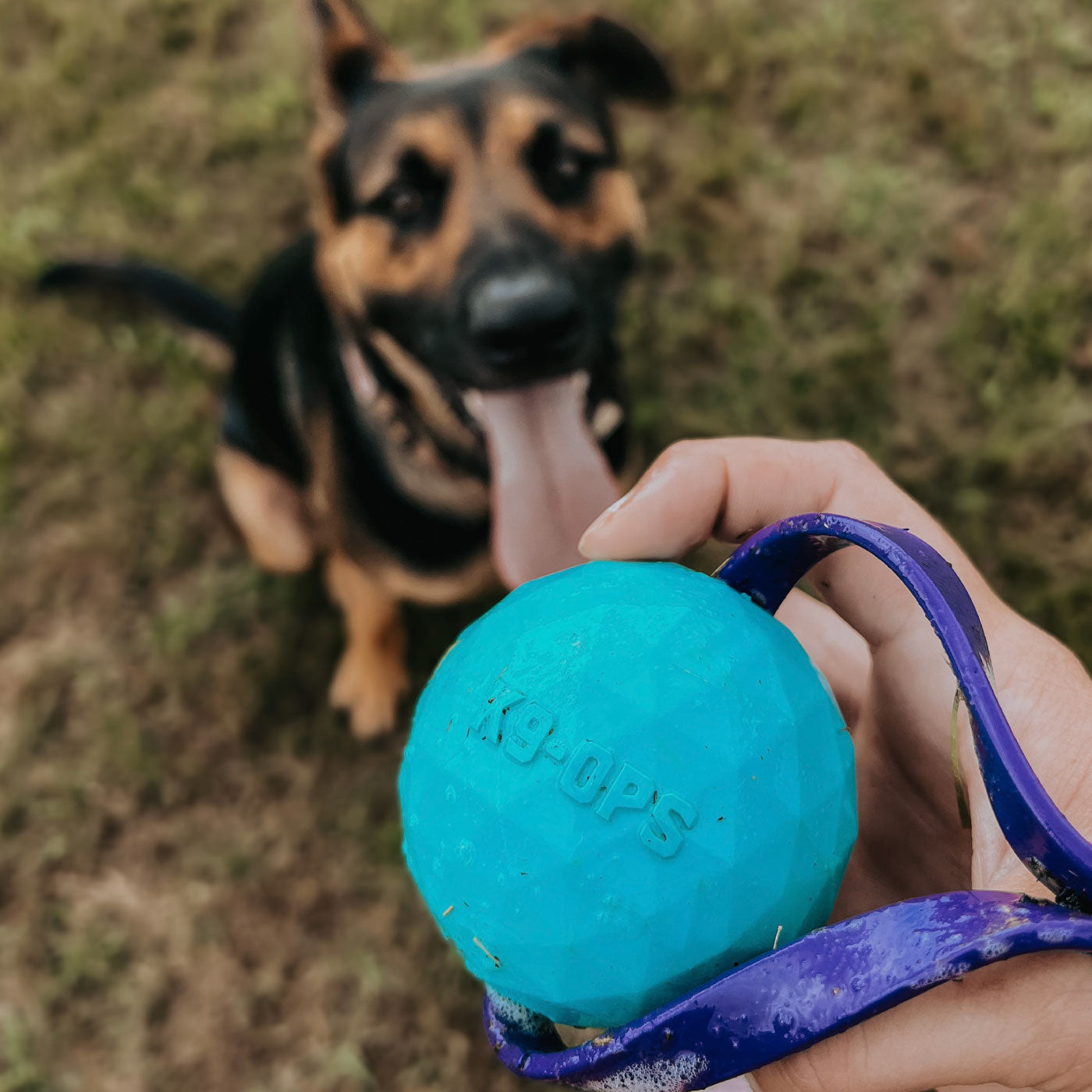 Bio Tug - Lagoon Blue