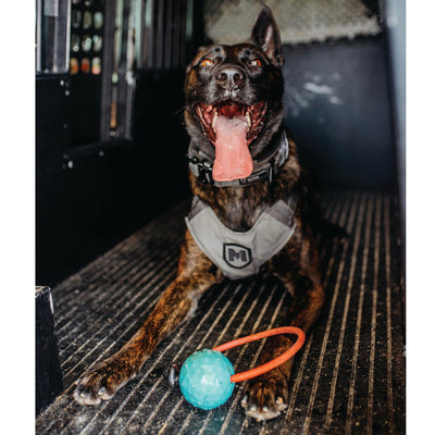 what is the best dog ball mokie tug on a rope packed in black k9opsbox k9-ops k9 ops