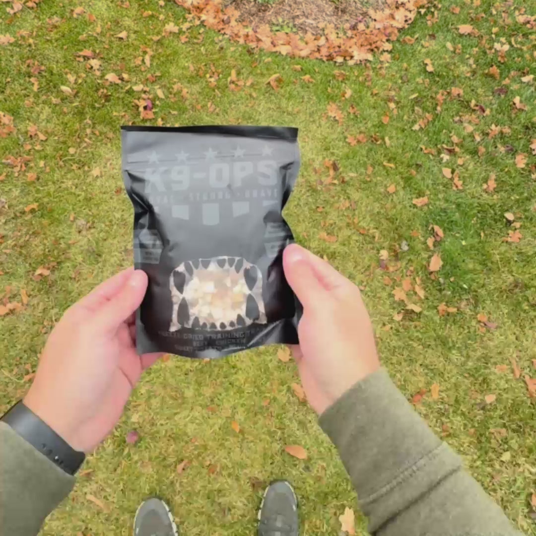 Freeze Dried Dog Training Treats - Trail Mix Blend