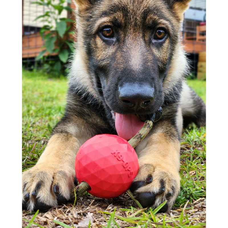 red dog ball indestructible toy durable k9ops k9 ops