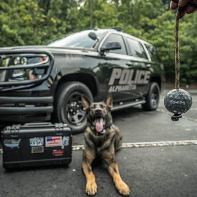 k9ops rubber dog ball on a rope toy tug k9ops in k9opsbox k9 ops black