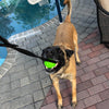 durable dog ball on a rope reward toy k9 trainer training