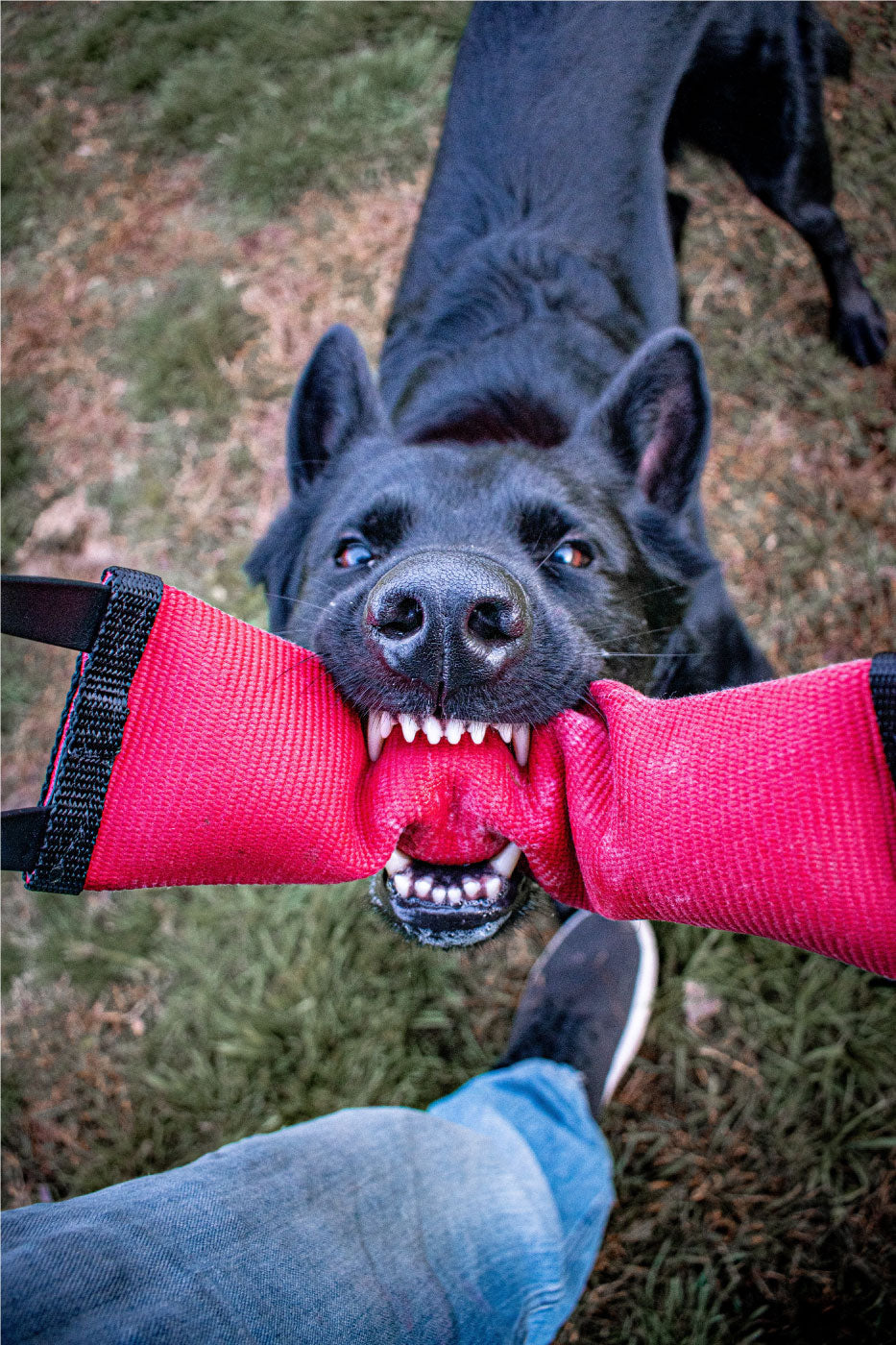 durable firehose dog toy tug red k9-ops no box strong floats