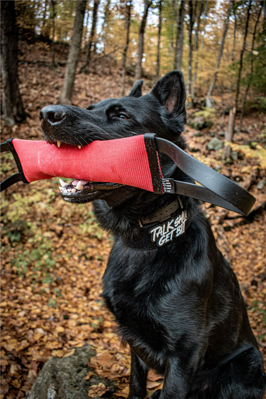 firehose tug that floats dog training k9ops handles durable k9 opsbox