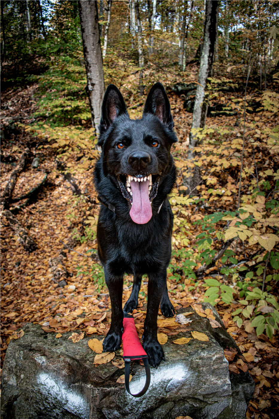 floating dog toys firehose tugs durable strong k9-ops k9 opsbox 