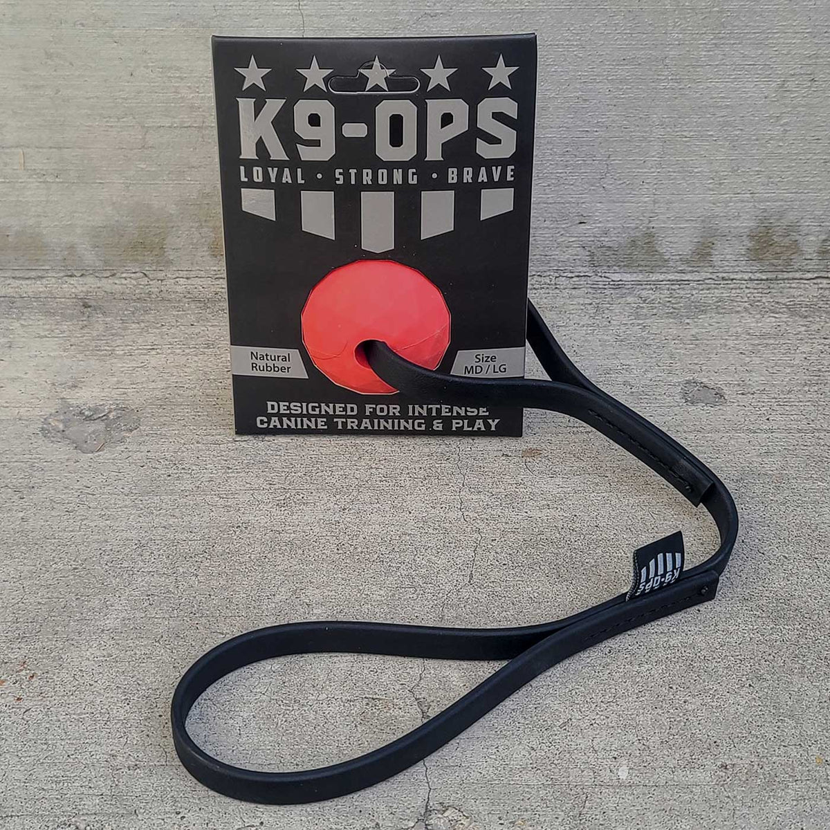 chew toys for large dogs